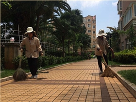 物業(yè)園區(qū)道路高效清掃就選圣倍諾電動掃地車 物業(yè)園區(qū)道路高效清掃就選圣倍諾電動掃地車
