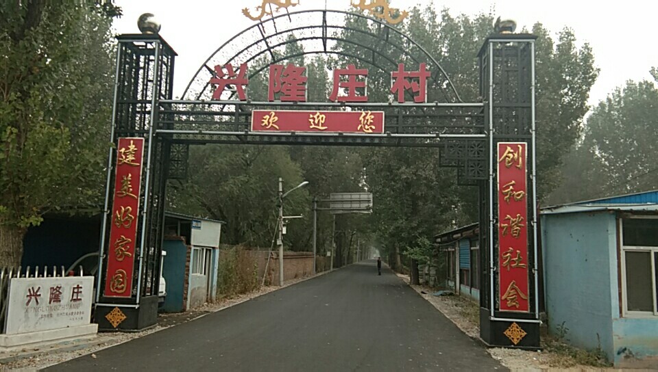 圣倍諾環(huán)衛(wèi)掃地車走進新農村